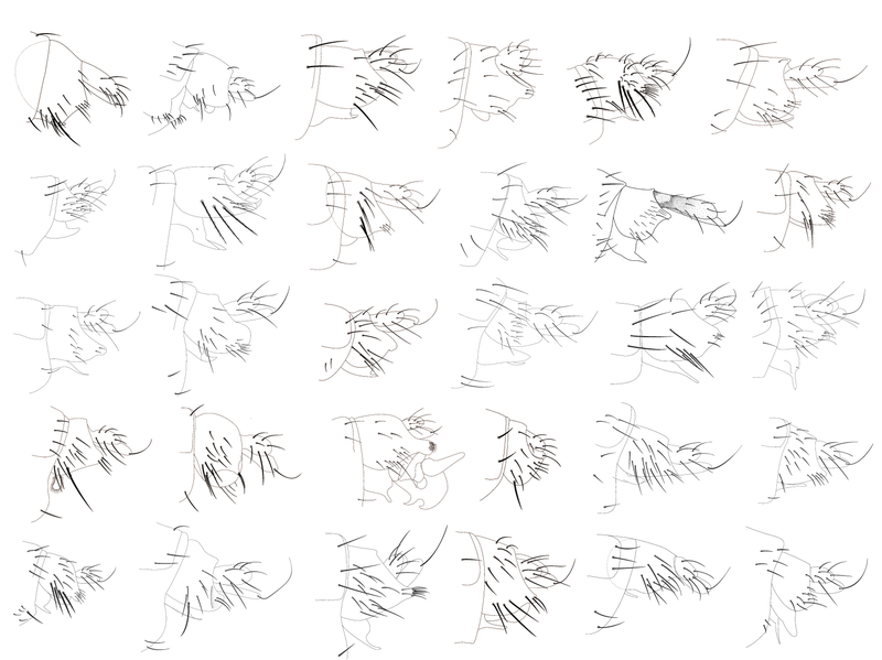 Illustration for article titled 30 Previously-Unknown Species of Fly Discovered in Los Angeles